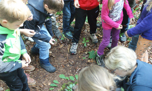 Fundsachensammelstelle: Hier entsteht ein Waldkunstwerk 