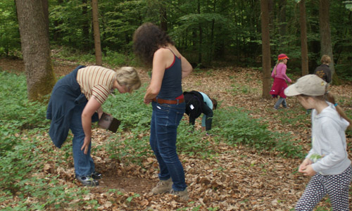 Auf Schatzsuche