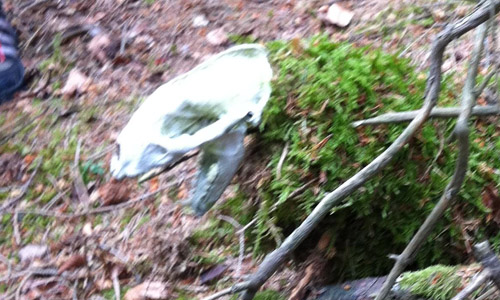 Achtung – die Monster leben unter uns