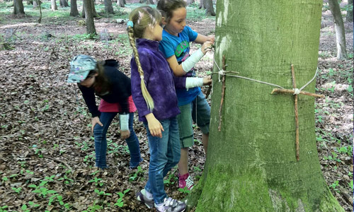 ähhhh – das sind die Grundgerüste für Buchenwichtel – schon mal platziert