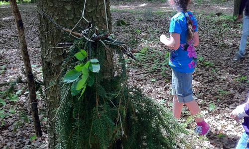 living art – hänging on the fichte (spruce)