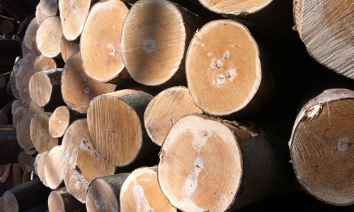 made by natur und den fleißigen Waldbauern